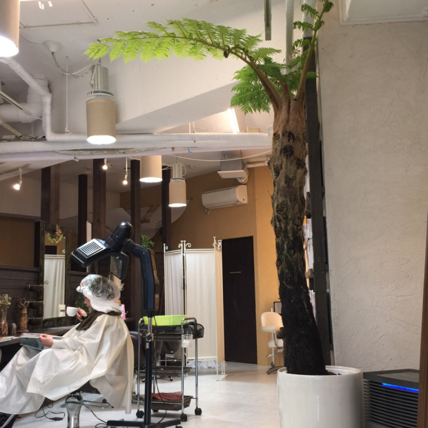 Salon Blog 多摩市聖蹟桜ヶ丘の天然100 ヘナが人気の美容院 美容室green グリーン ネイルサロン Part 70